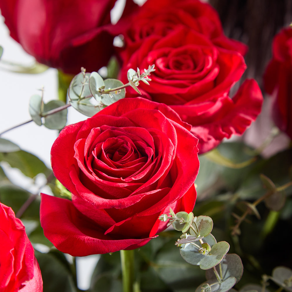 Luxury Long-Stemmed Red Roses