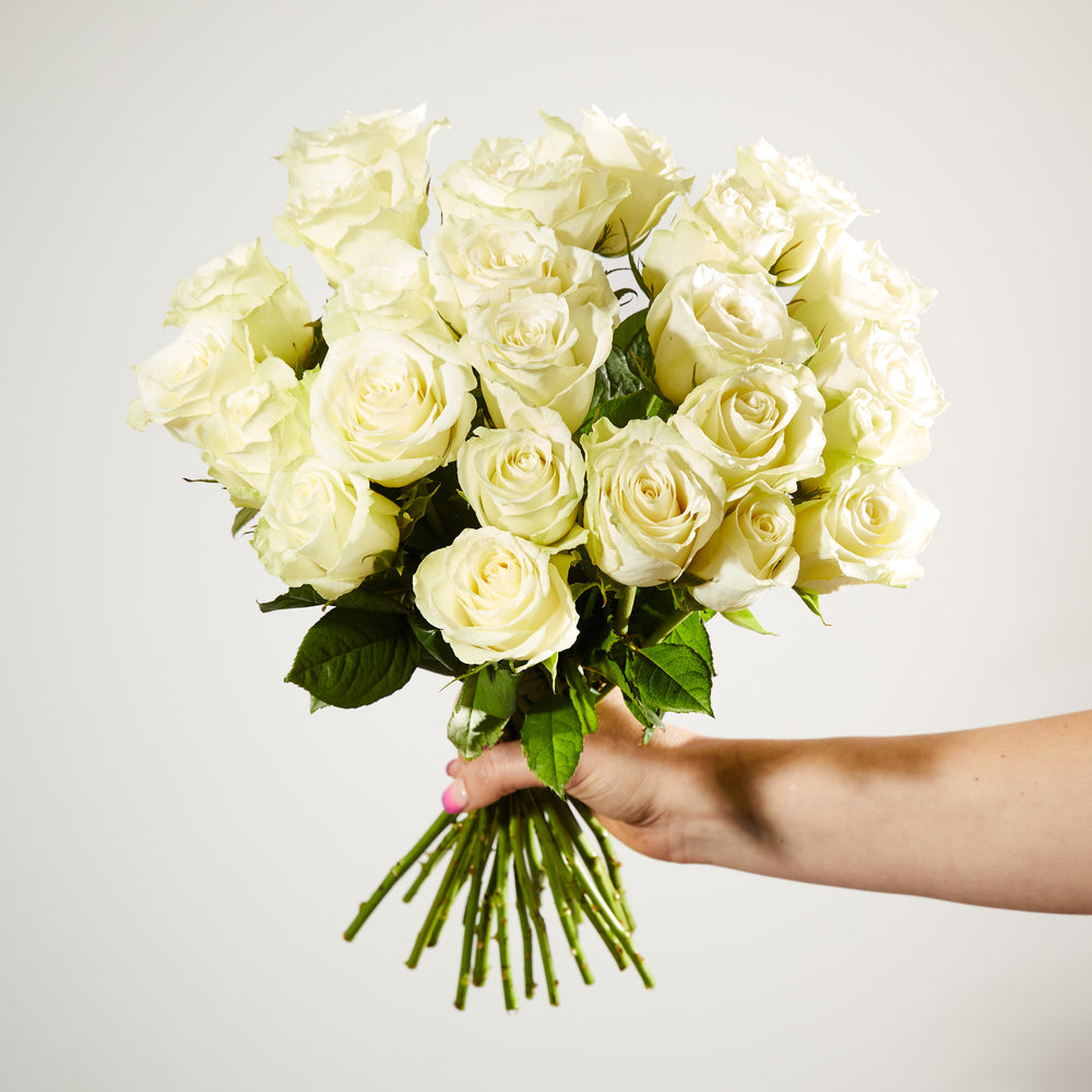 24 Fairtrade White Roses