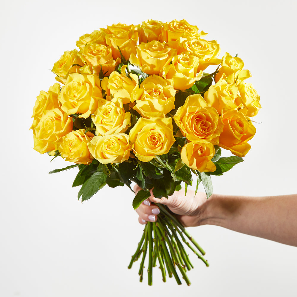 24 Fairtrade Yellow Roses