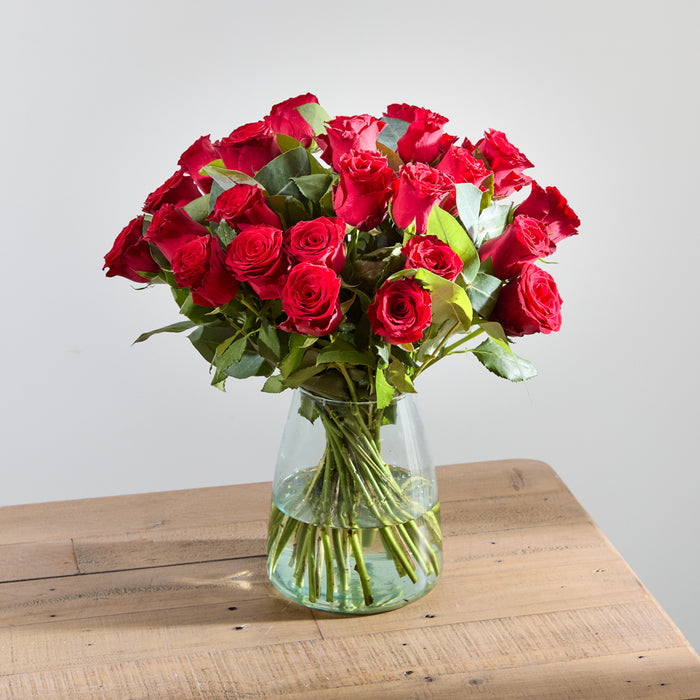 24 Luxury Red Roses