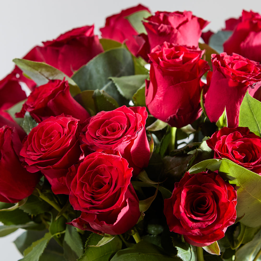 24 Luxury Red Roses