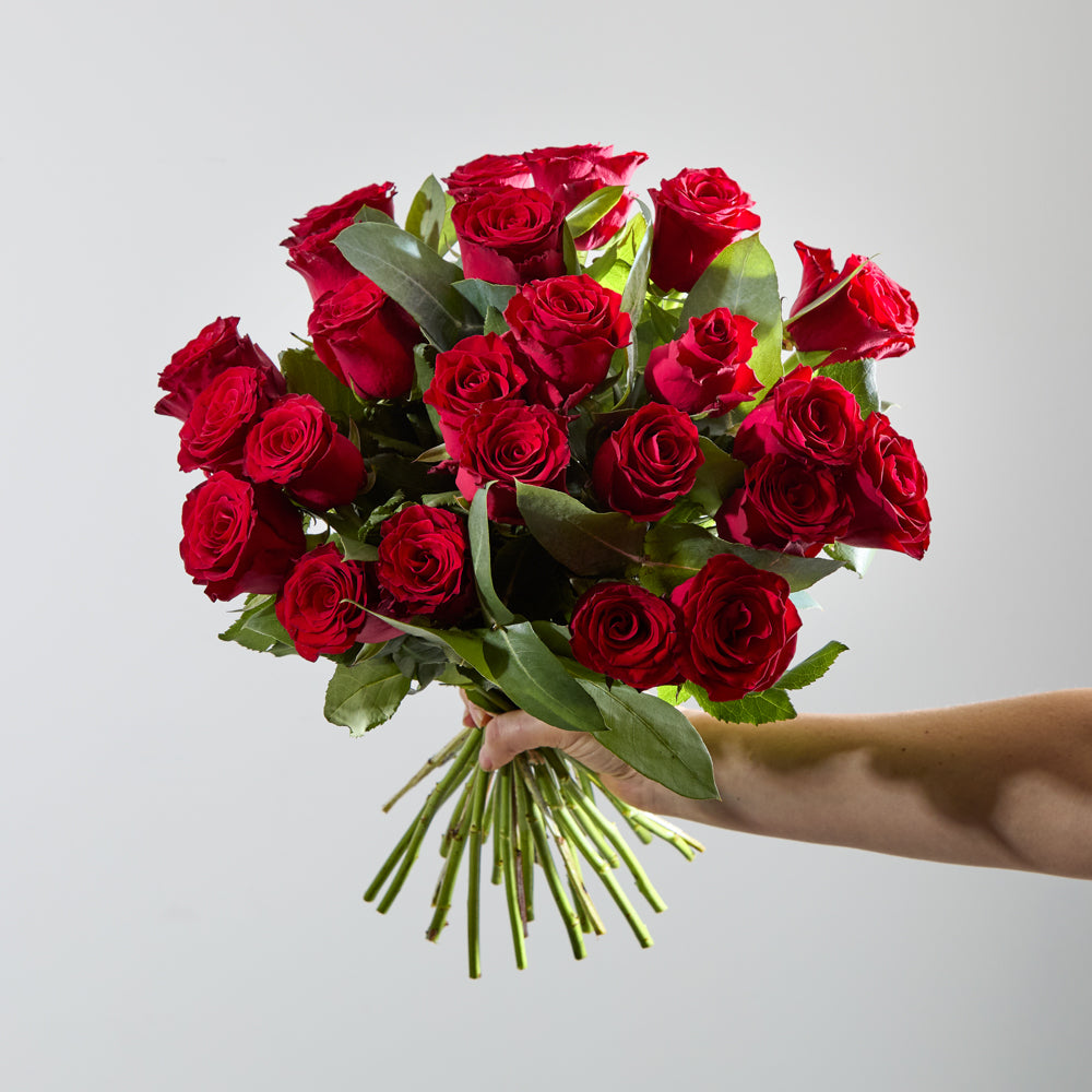 24 Luxury Red Roses