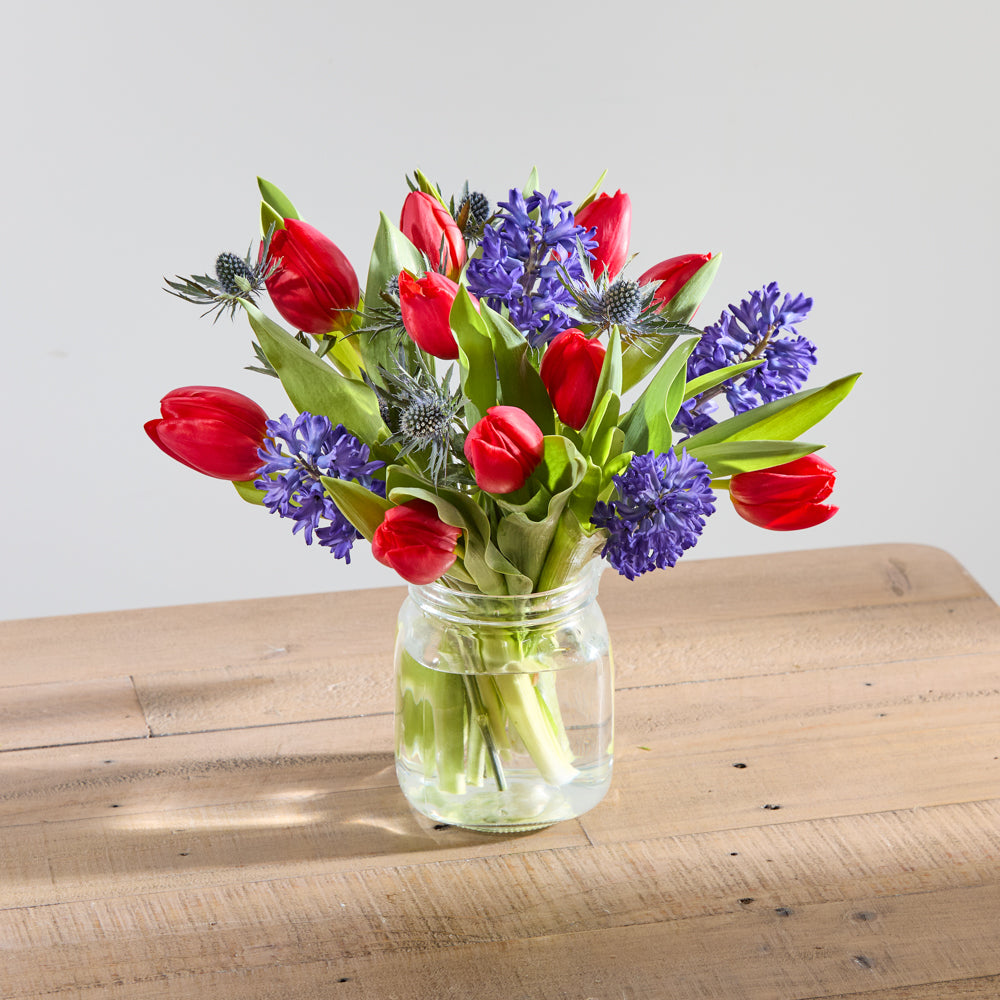 Spring Promise