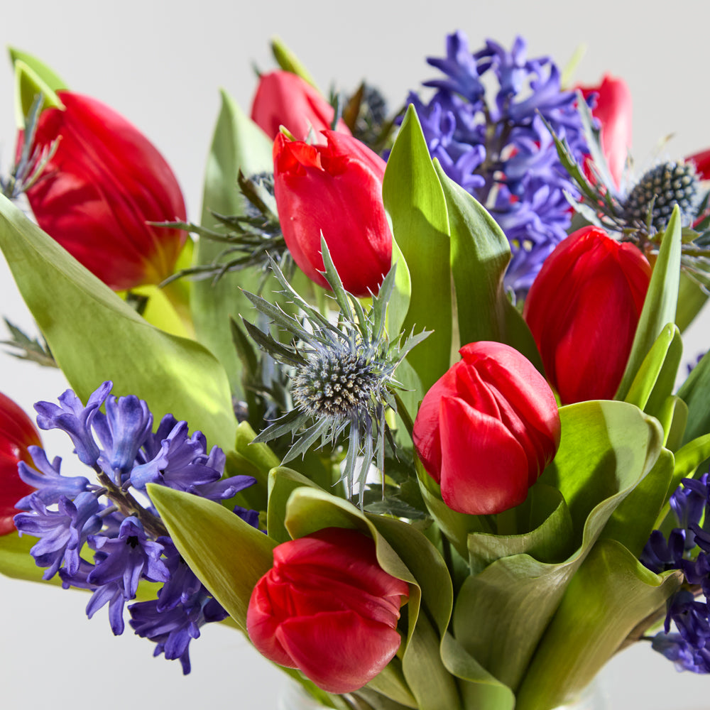 Spring Promise