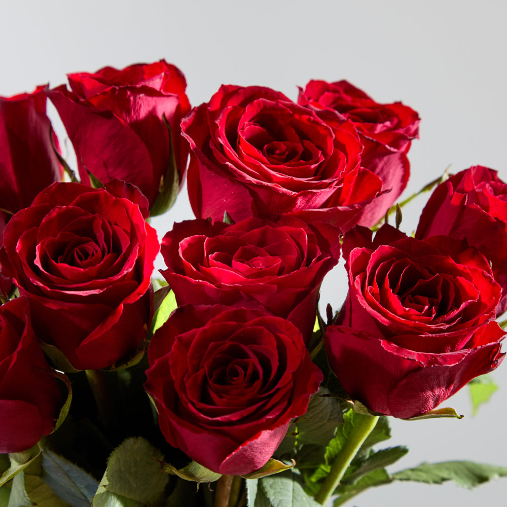 Dozen Red Roses