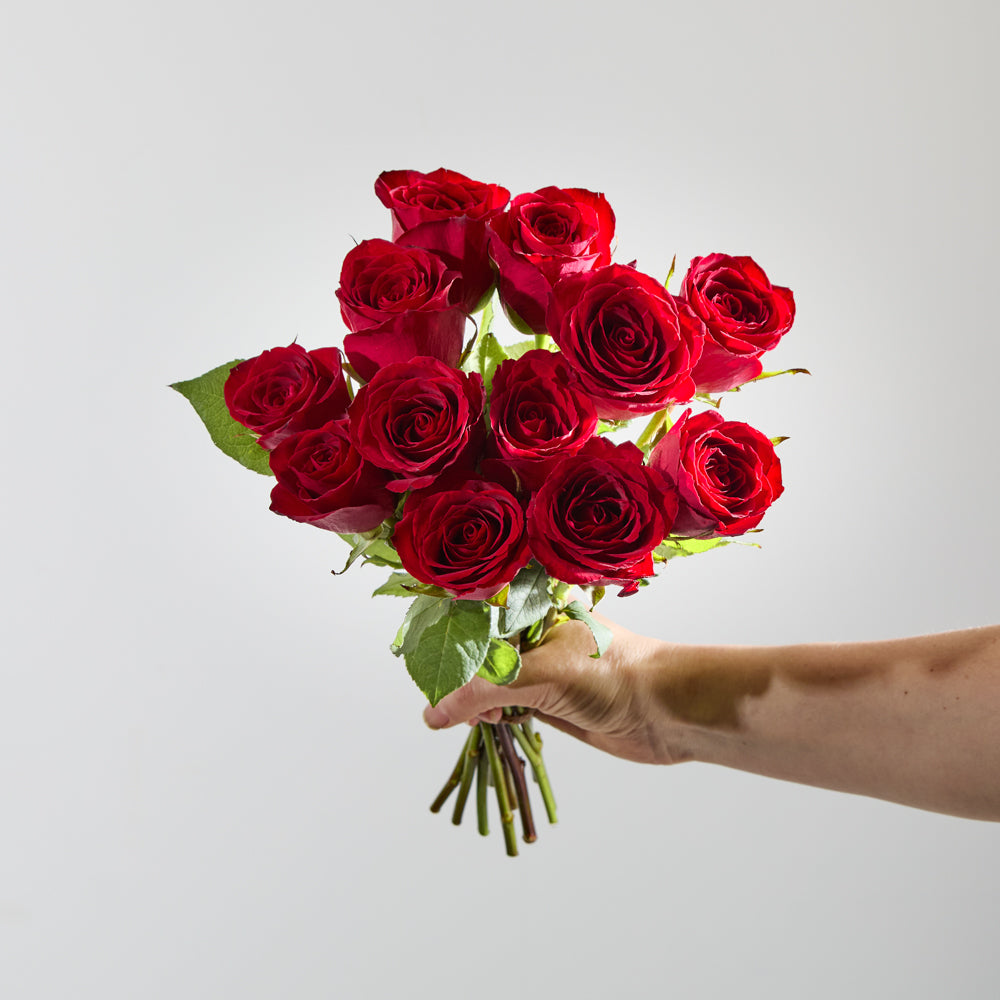 Dozen Red Roses