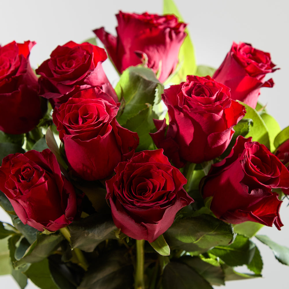 Dozen Luxury Red Roses