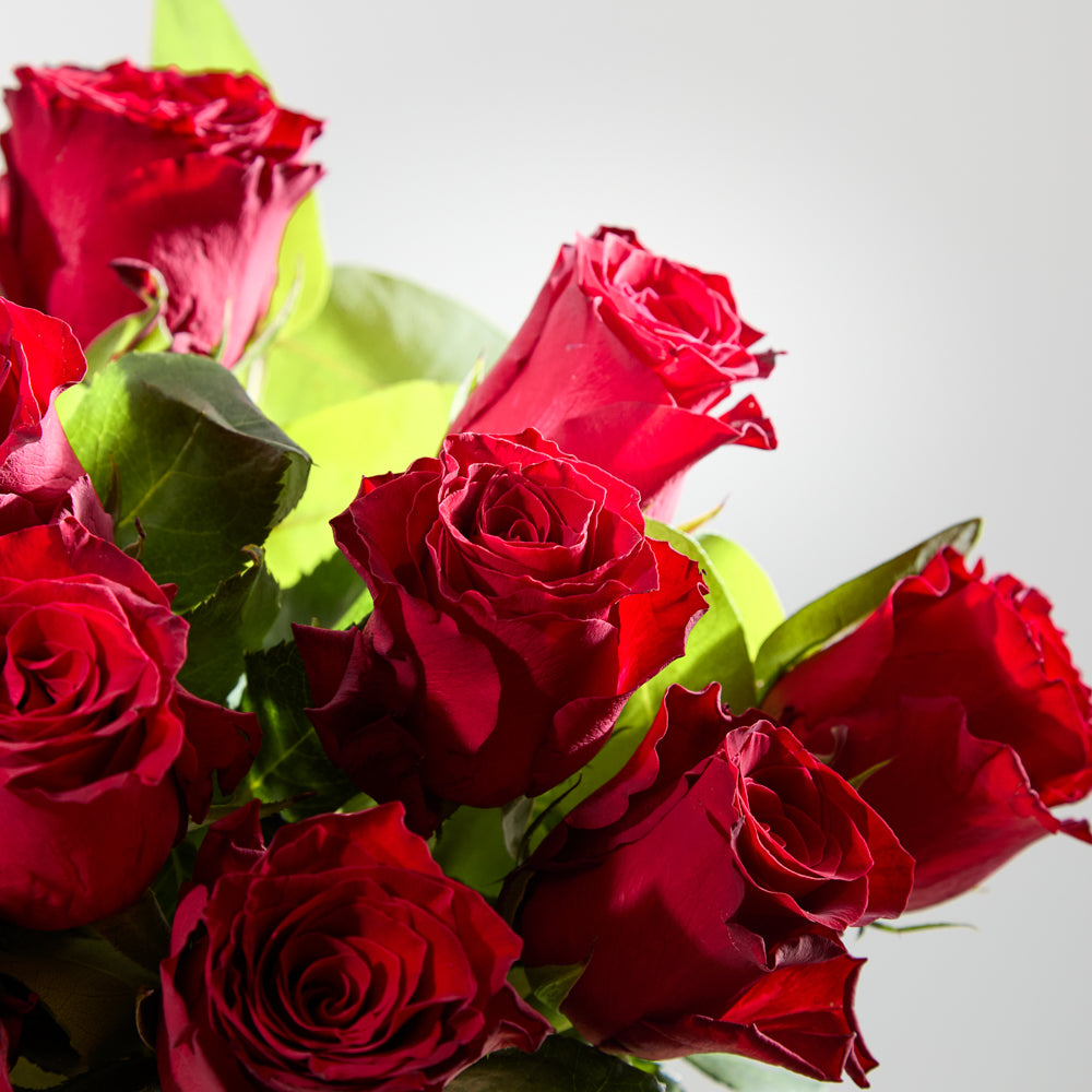 Dozen Luxury Red Roses