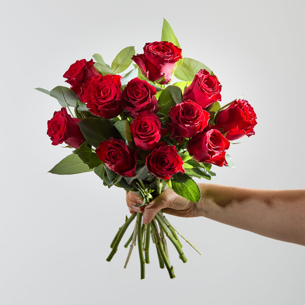 Dozen Luxury Red Roses