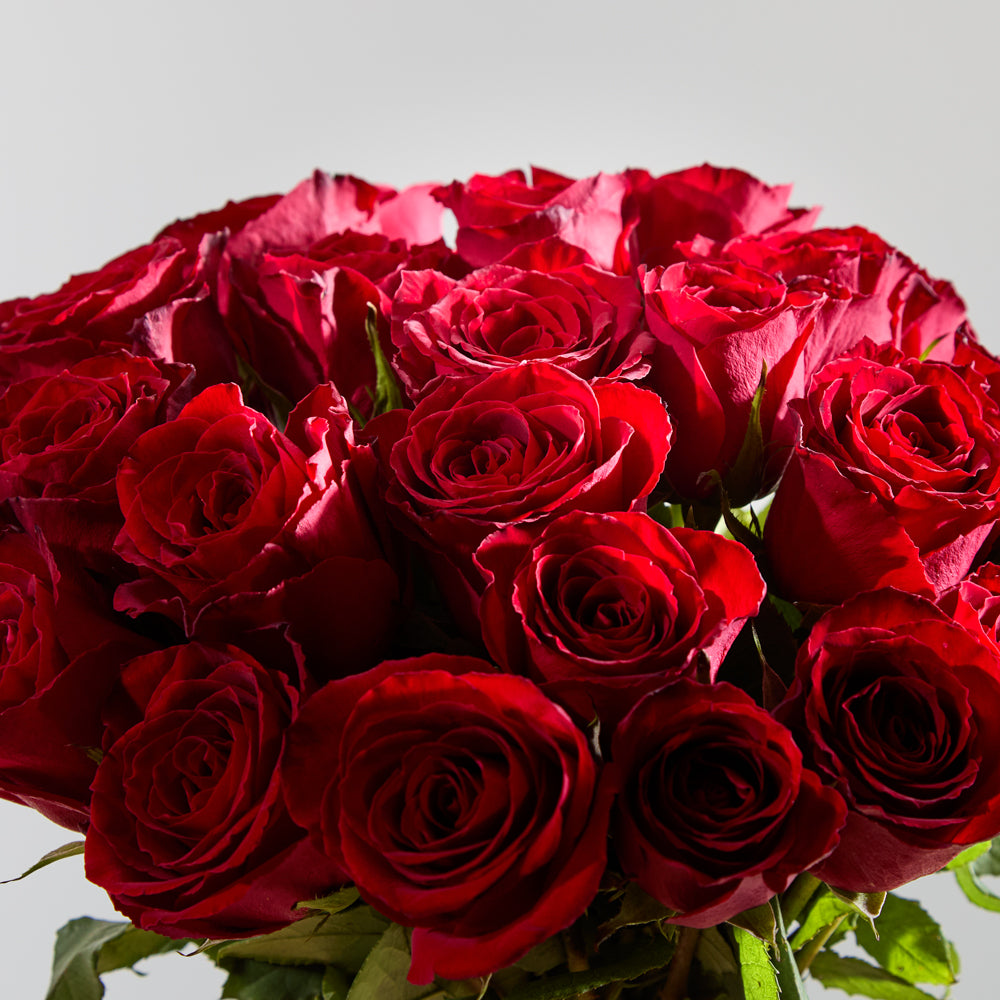 24 Red Roses