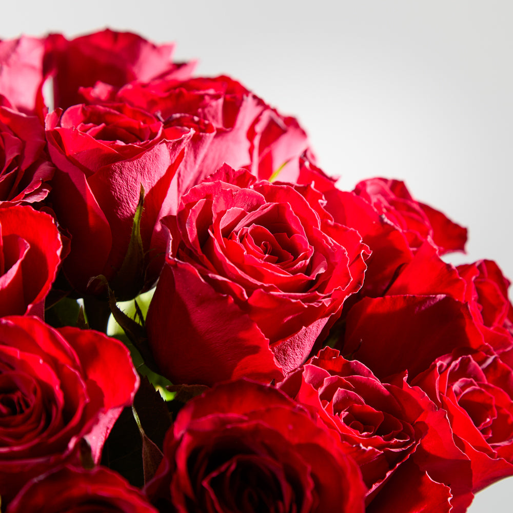 24 Red Roses