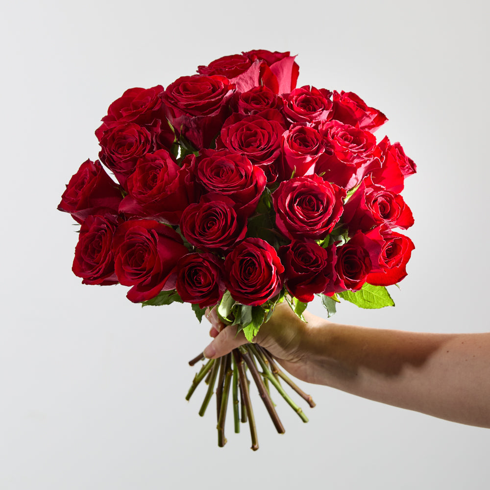 24 Red Roses