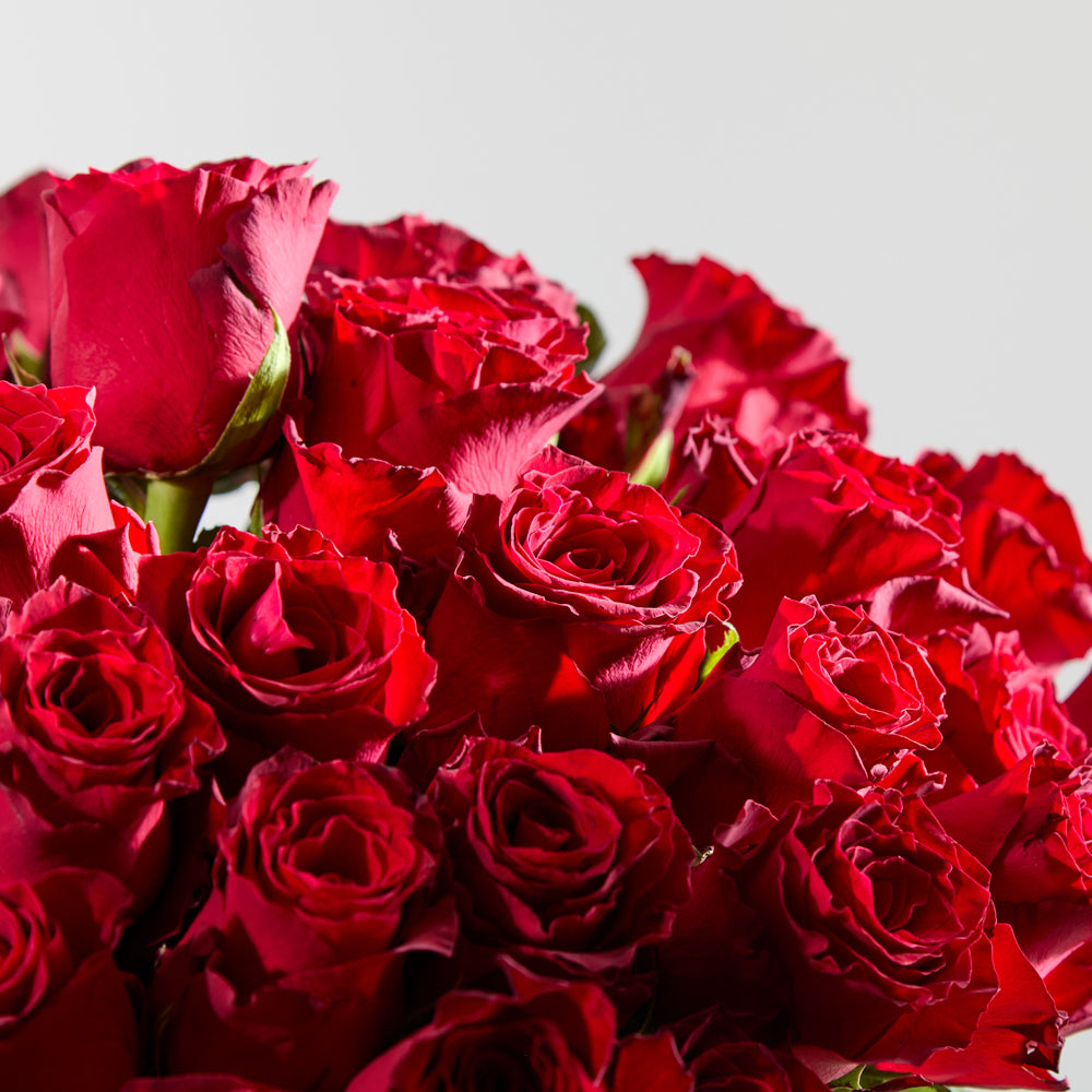 50 Red Roses