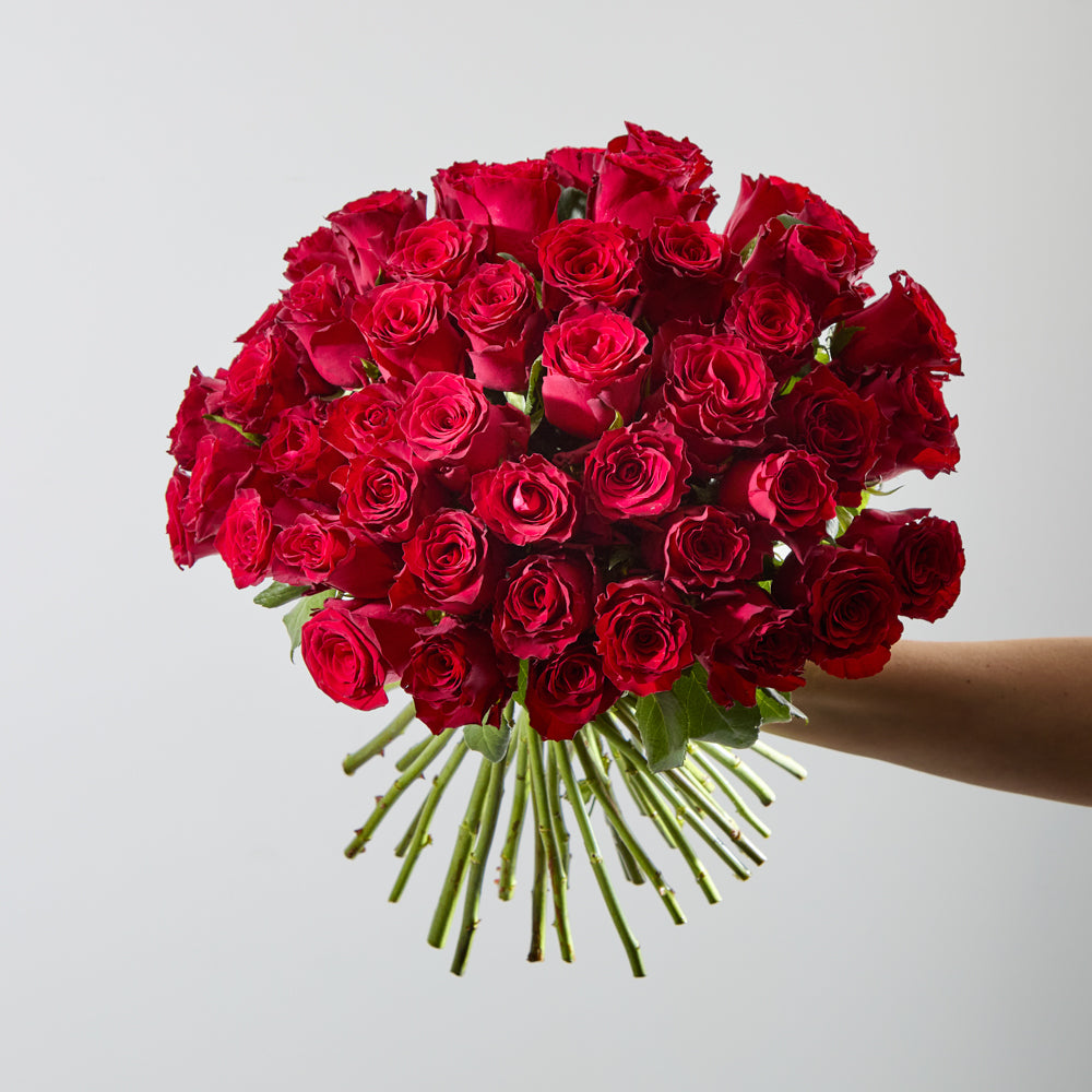 50 Red Roses