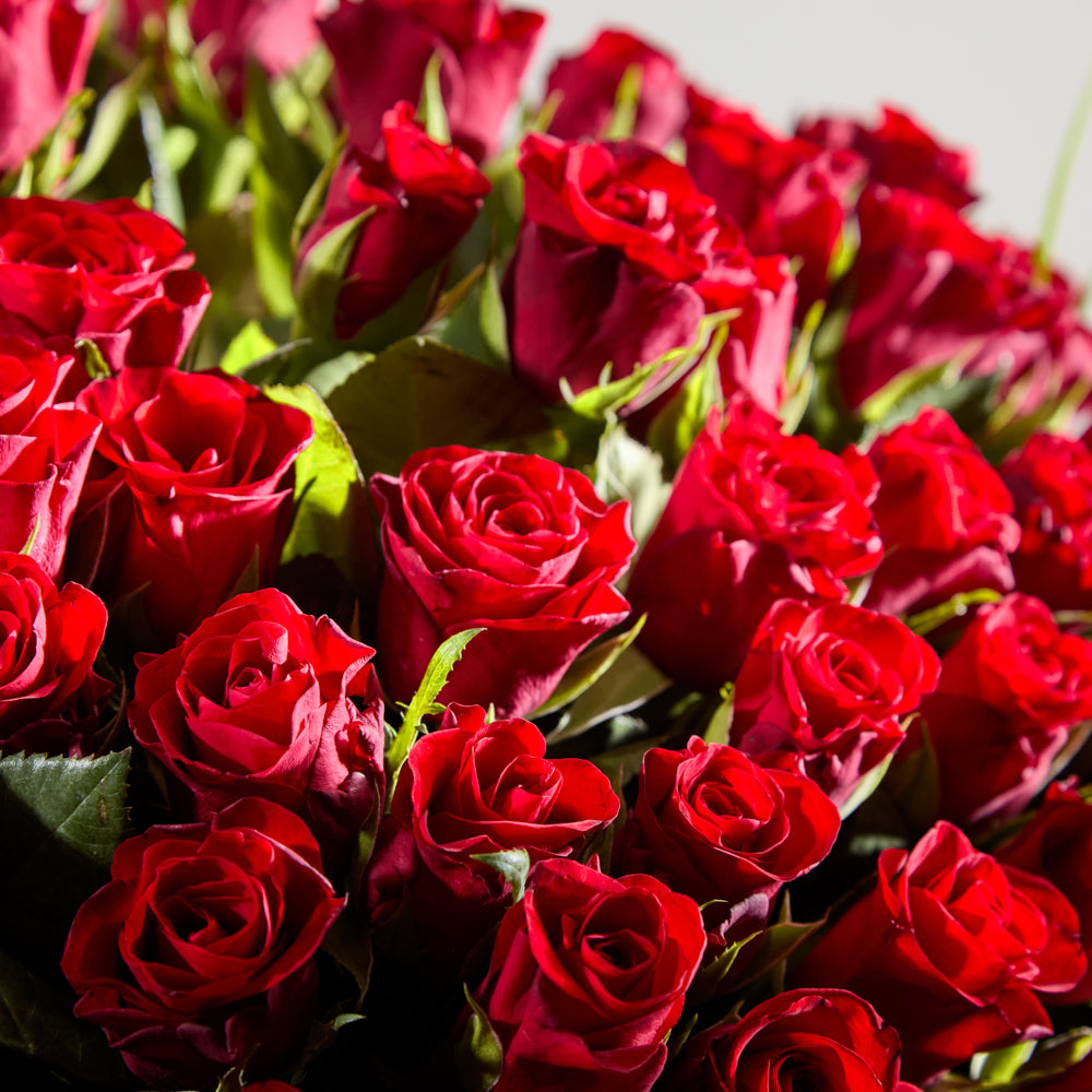 100 Red Roses