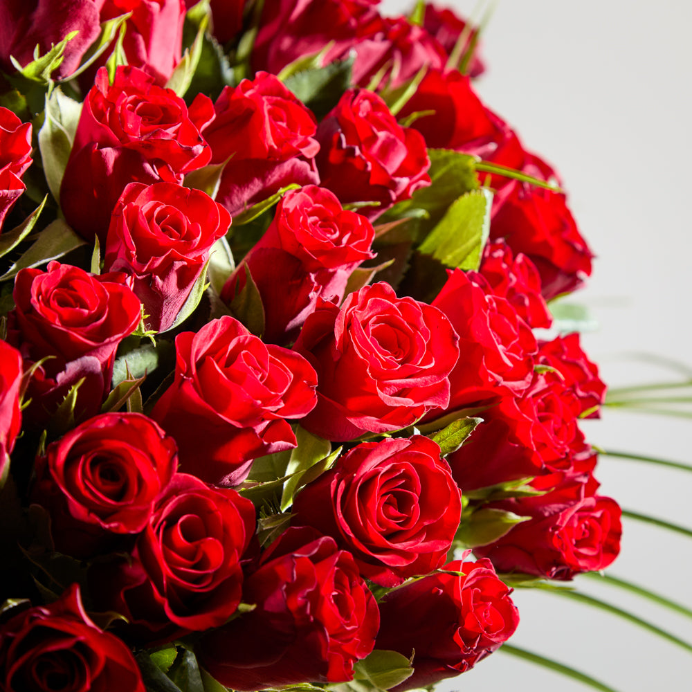 100 Red Roses
