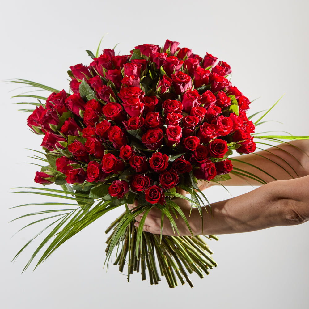 100 Red Roses
