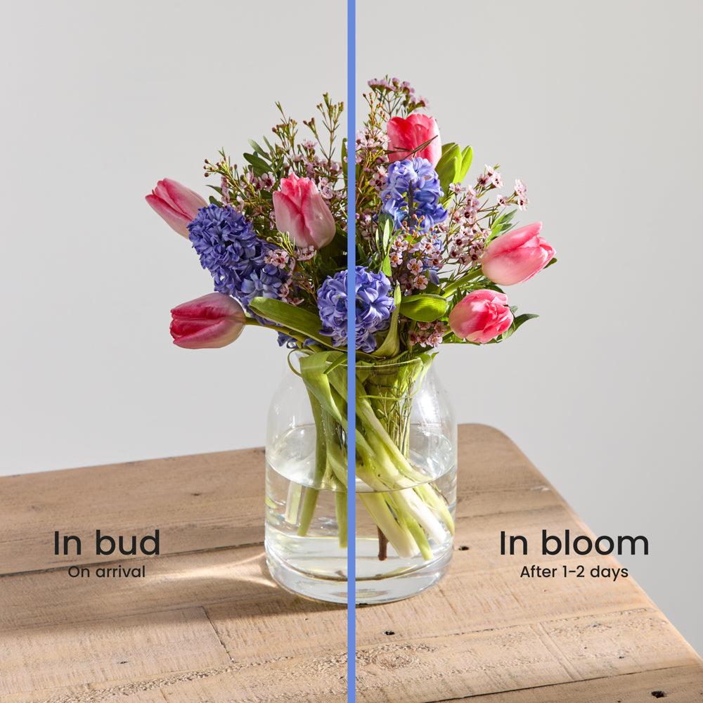 Floral Melody