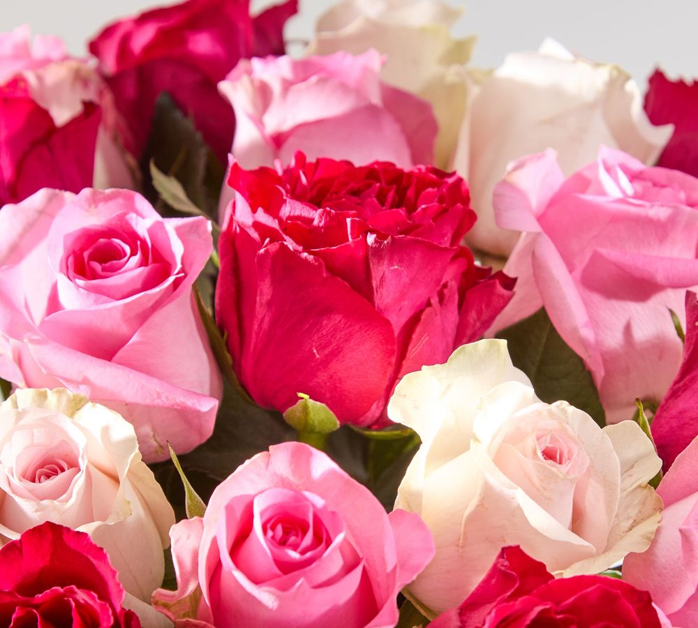 Mixed Roses 40cm-4 1_desktop_mobile.jpg