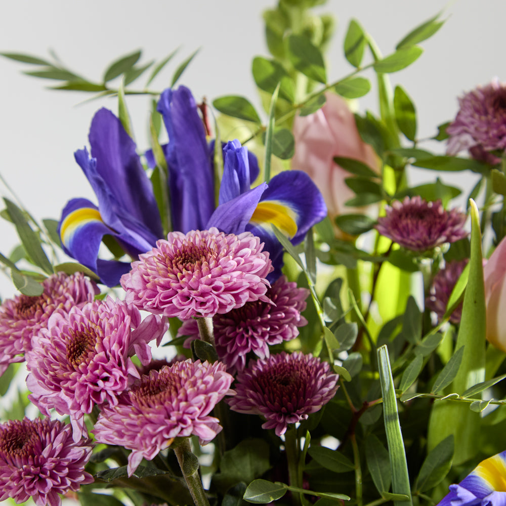 Sacred Violet