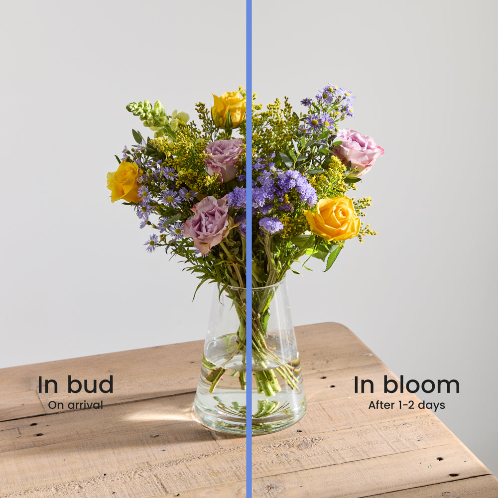 Meadow Charm