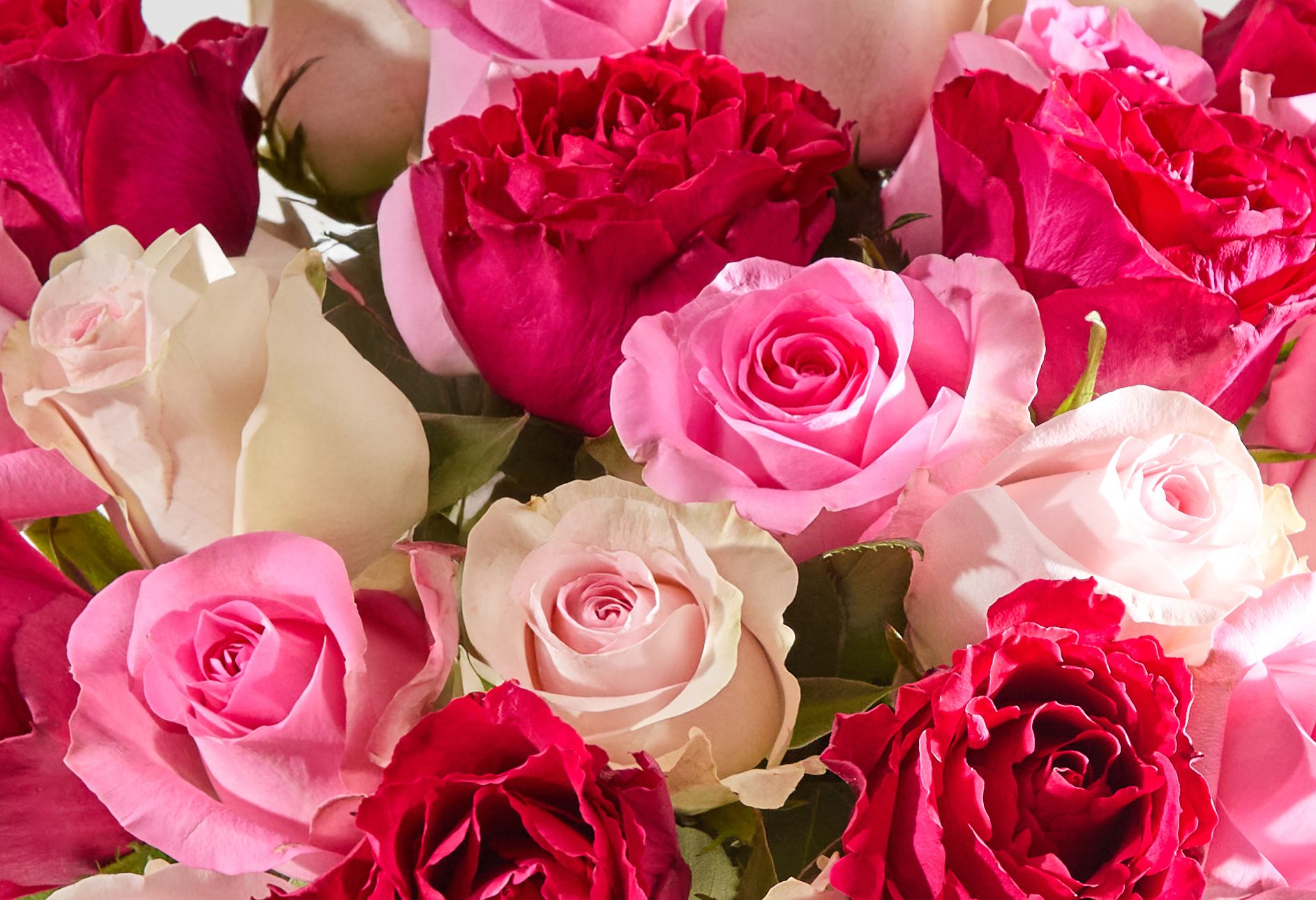 Mixed Roses 40cm-6 1_desktop.jpg