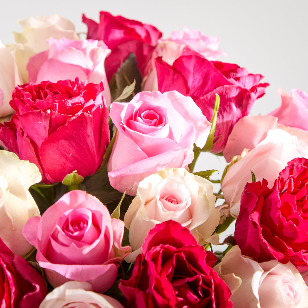 24 Mixed Roses
