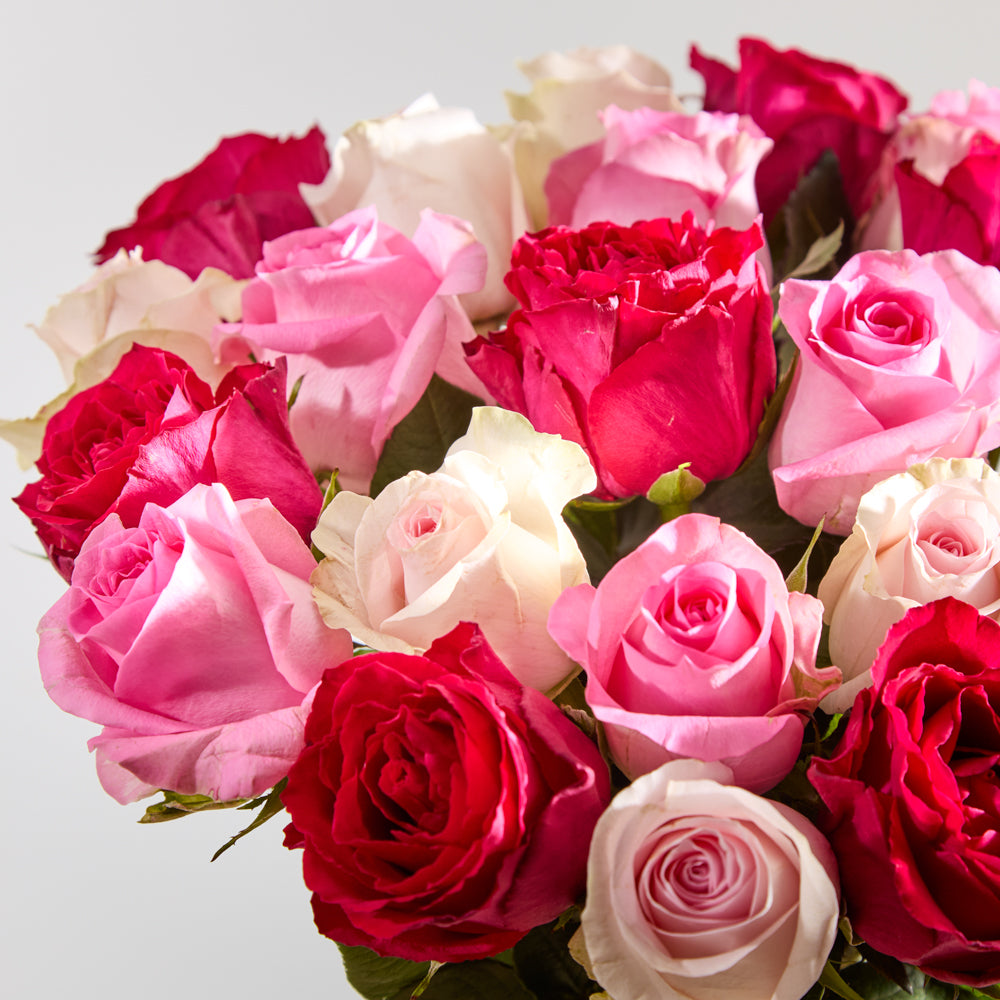 24 Mixed Roses