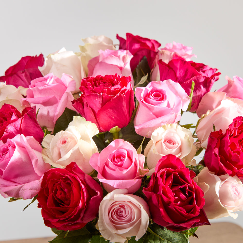 24 Mixed Roses