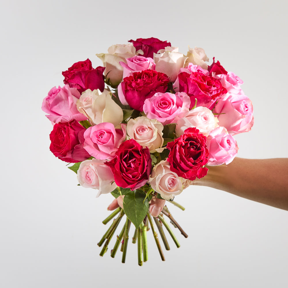 24 Mixed Roses