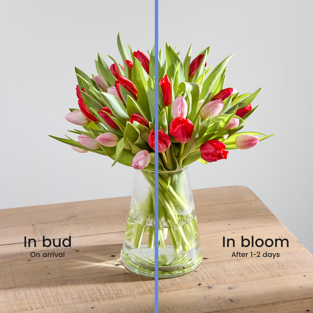 Perfect Match