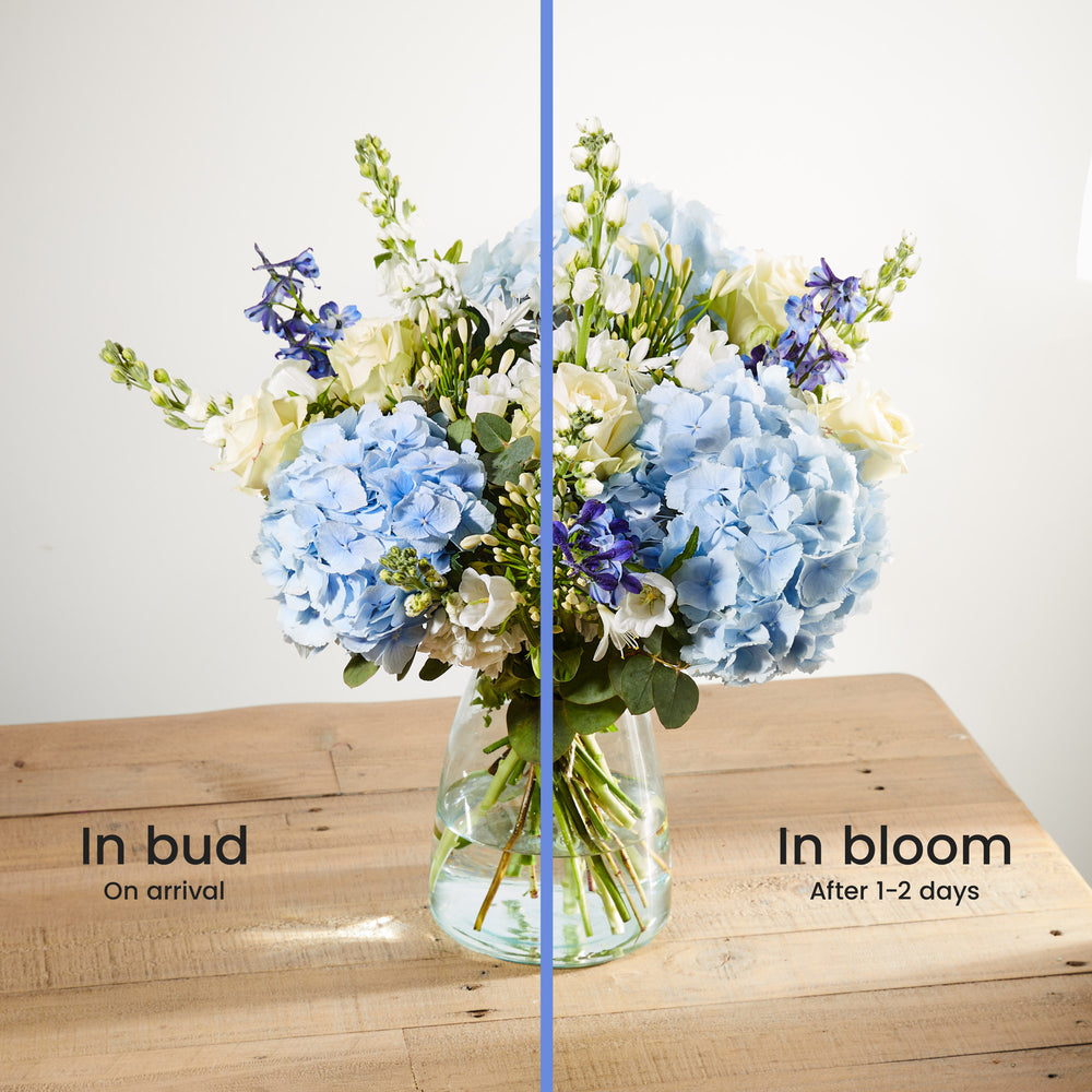 Positive Luxury Bouquet