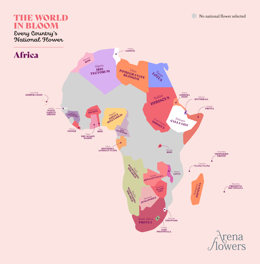 Map of Africa